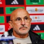 Fútbol/Selección.- Luis de la Fuente pone nota al año de España: "Es difícil de mejorar"