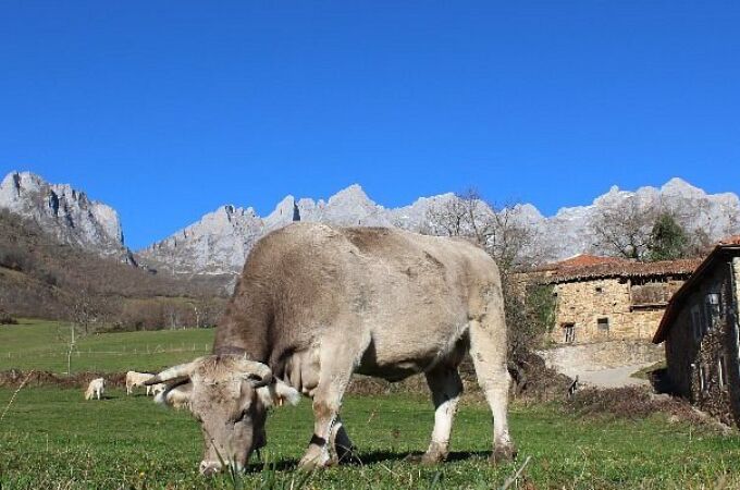 El pueblo de Heidi está en Cantabria y es más bonito que los Alpes Suizos