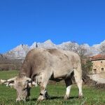 El pueblo de Heidi está en Cantabria y es más bonito que los Alpes Suizos