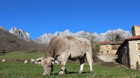 El pueblo de Heidi está en Cantabria y es más bonito que los Alpes Suizos