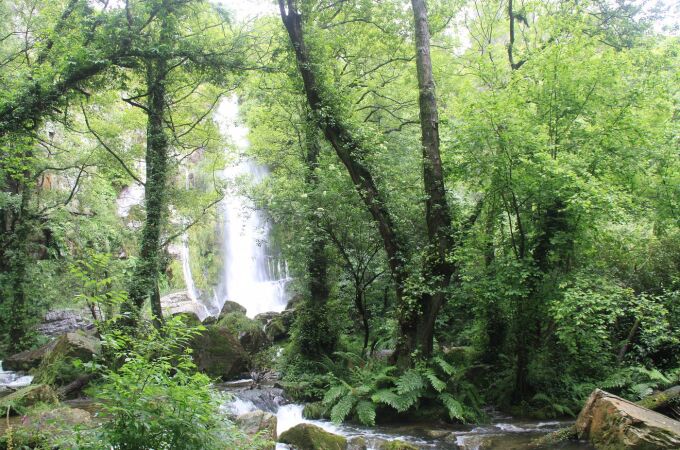 La ruta sencilla donde conocerás las tres cascadas más impresionantes de Asturias