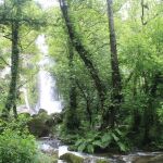 La ruta sencilla donde conocerás las tres cascadas más impresionantes de Asturias