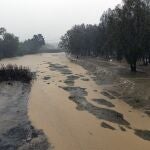 El río Guadalhorce, en Málaga, durante el episodio más crítico de la DANA