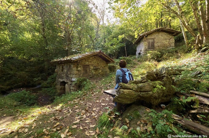 Un niño en un bosque de Quirós. 