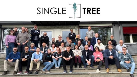 Equipo del proyecto europeo 'SingleTree'