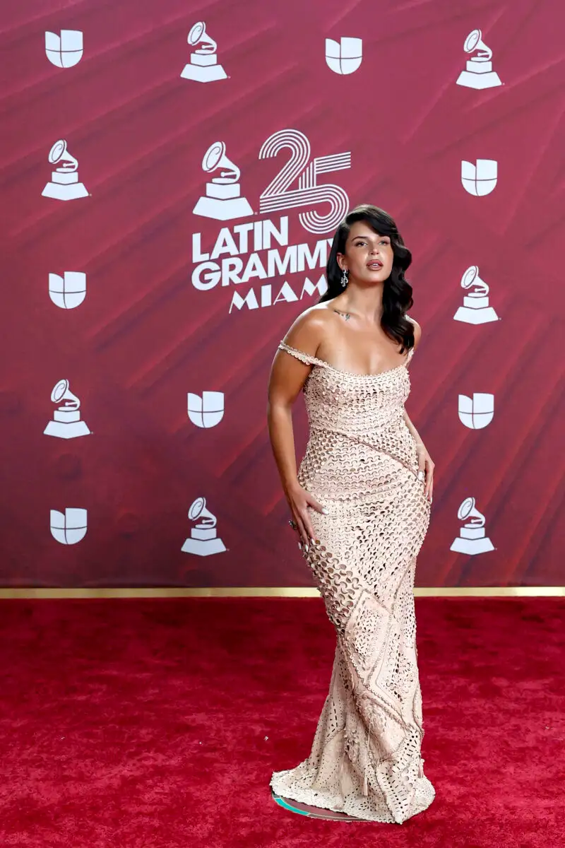 Alfombra roja de la 25 edición de los Latin Grammy