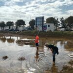 Técnicos del Ayuntamiento trabajan en el plan de control de plagas activado por el Consistorio
