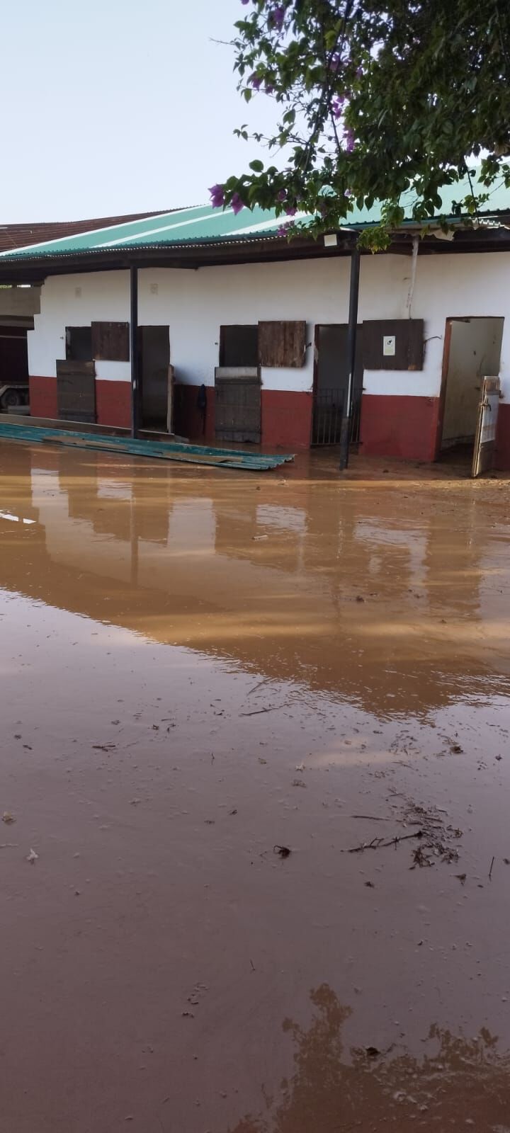 Las instalaciones del Club Ecuestre Catarroja, inundadas