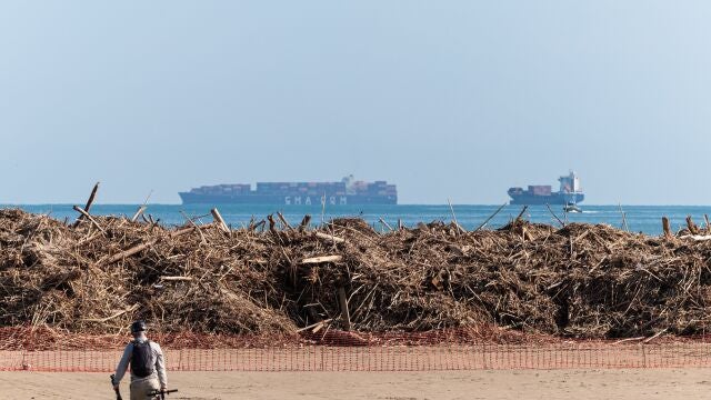 Ramas llegadas a la playa por el río Turia, a 17 de noviembre de 2024, en Valencia, Comunidad Valenciana (España). El Cecopi ha emitido una nueva orden de restricción a la movilidad de vehículos, que tendrá vigencia hasta el próximo 22 de noviembre, en cuatro carreteras de la Comunidad Valenciana, la CV-400, CV-407, CV-36 y CV-33. Tras el paso de la DANA por Valencia, el pasado 29 de octubre, se ha encontrado a más de 200 fallecidos.