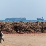 Ramas llegadas a la playa por el río Turia, a 17 de noviembre de 2024, en Valencia, Comunidad Valenciana (España). El Cecopi ha emitido una nueva orden de restricción a la movilidad de vehículos, que tendrá vigencia hasta el próximo 22 de noviembre, en cuatro carreteras de la Comunidad Valenciana, la CV-400, CV-407, CV-36 y CV-33. Tras el paso de la DANA por Valencia, el pasado 29 de octubre, se ha encontrado a más de 200 fallecidos.