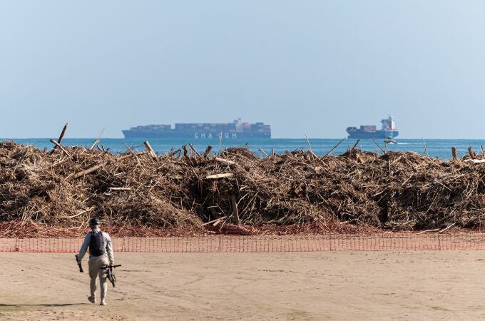 Ramas llegadas a la playa por el río Turia, a 17 de noviembre de 2024, en Valencia, Comunidad Valenciana (España).