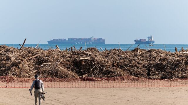 Ramas llegadas a la playa por el río Turia, a 17 de noviembre de 2024, en Valencia, Comunidad Valenciana (España).