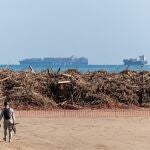 Ramas llegadas a la playa por el río Turia, a 17 de noviembre de 2024, en Valencia, Comunidad Valenciana (España).