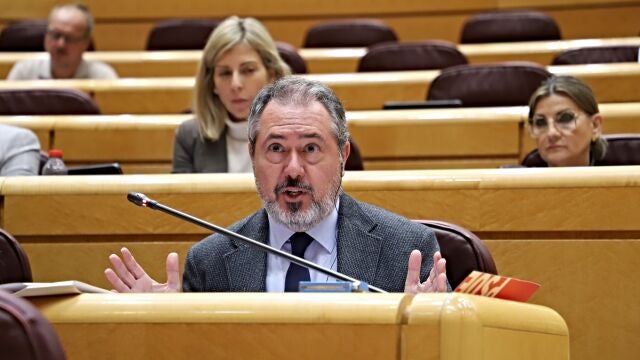 Juan Espadas en el Senado