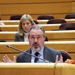 Juan Espadas en el Senado