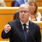 Silván durante su cara a cara con el ministro Marlaska en el Senado