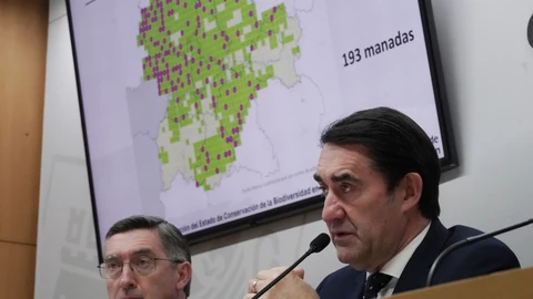 El consejero Juan Carlos Suárez-Quiñones analiza el nuevo censo de lobos en Castilla y León