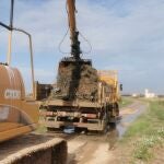 Trabajos en l'Albufera