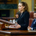 Comparecencia de la ministra Teresa Ribera ante el pleno del Congreso