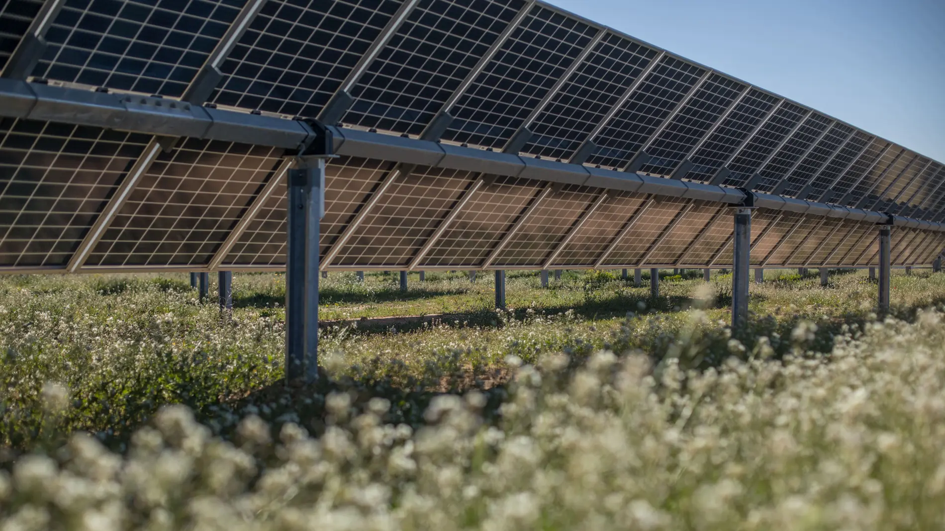 Plan de Lightsource bp en el Valle 3 y 4 de Valladolid