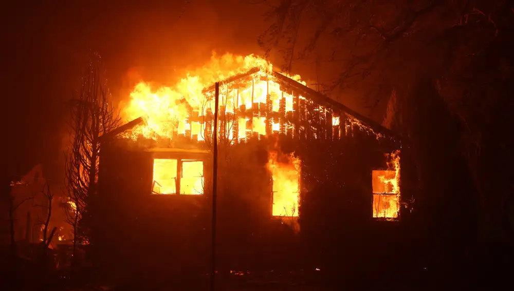 Palisades Wildfire in Los Angeles, California
