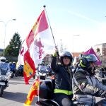 Los Pingüinos toman las calles de Valladolid