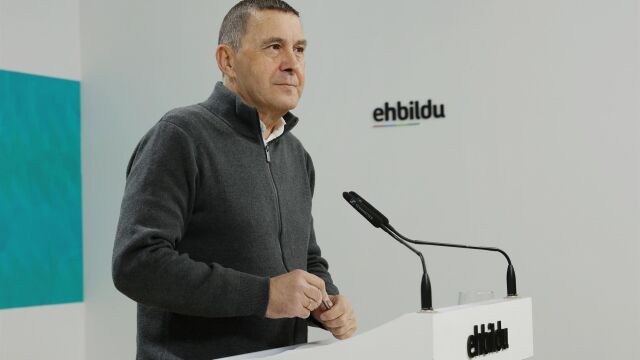 Otegi defiende que Bildu busque "un nuevo estatus político" para Euskadi que supere "el modelo autonómico"