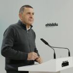 Otegi defiende que Bildu busque "un nuevo estatus político" para Euskadi que supere "el modelo autonómico"