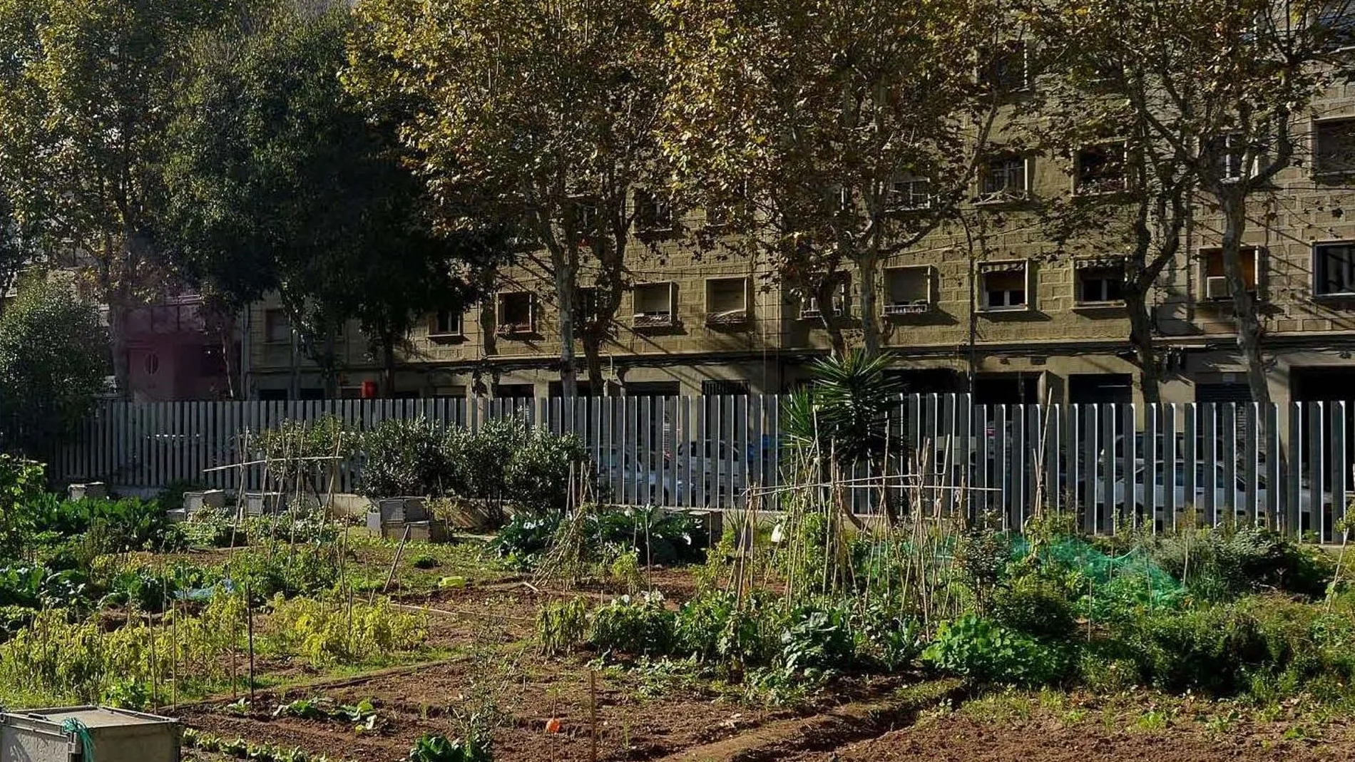 Uno de los huertos urbanos de Barcelona