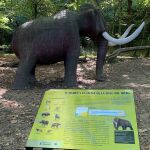 El planazo para hacer con niños en Cantabria: viaje al Paleolítico con cuevas, mamuts y el río del silencio