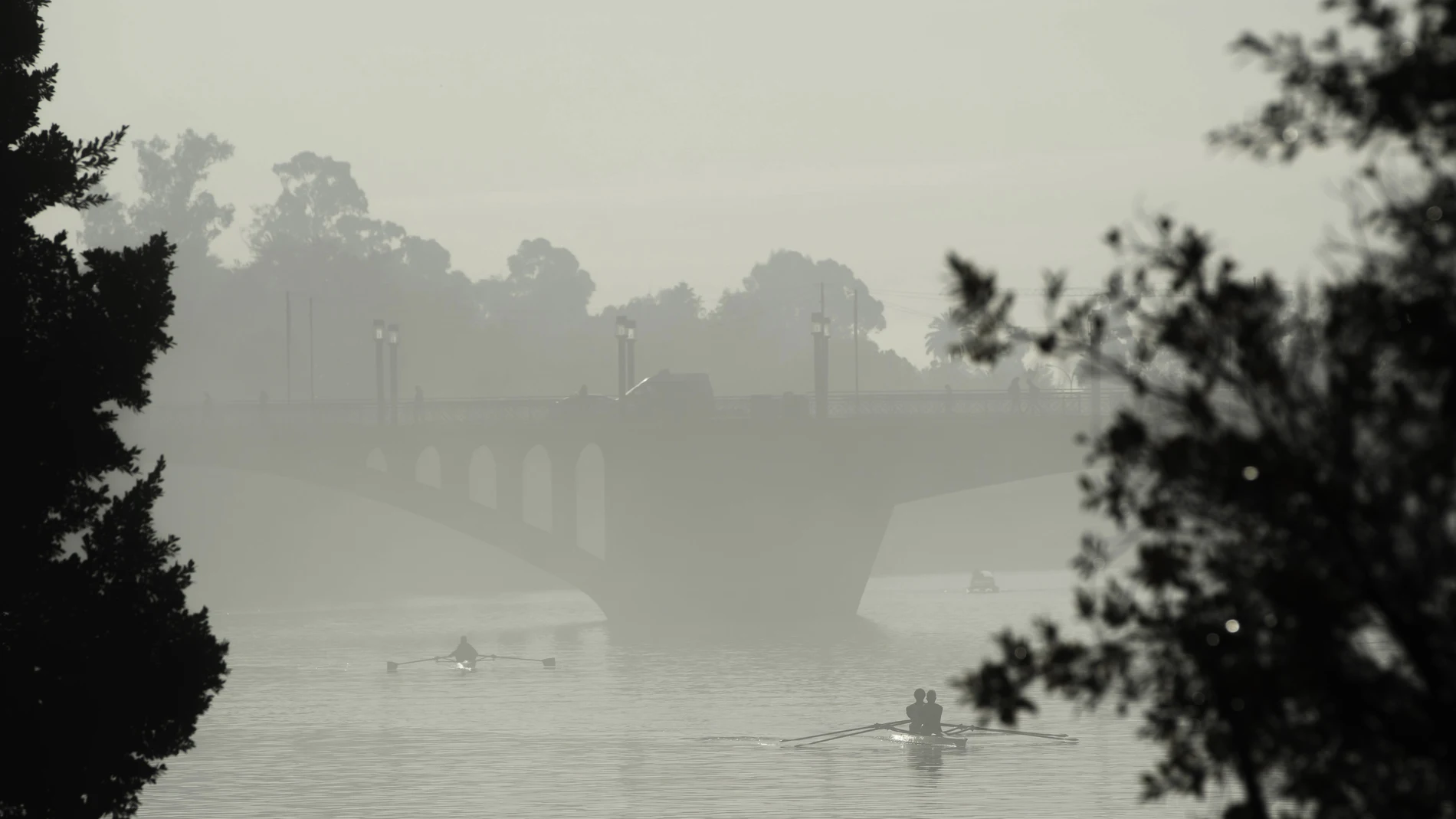 Puente de San Telmo de Sevilla cubierto por la niebla