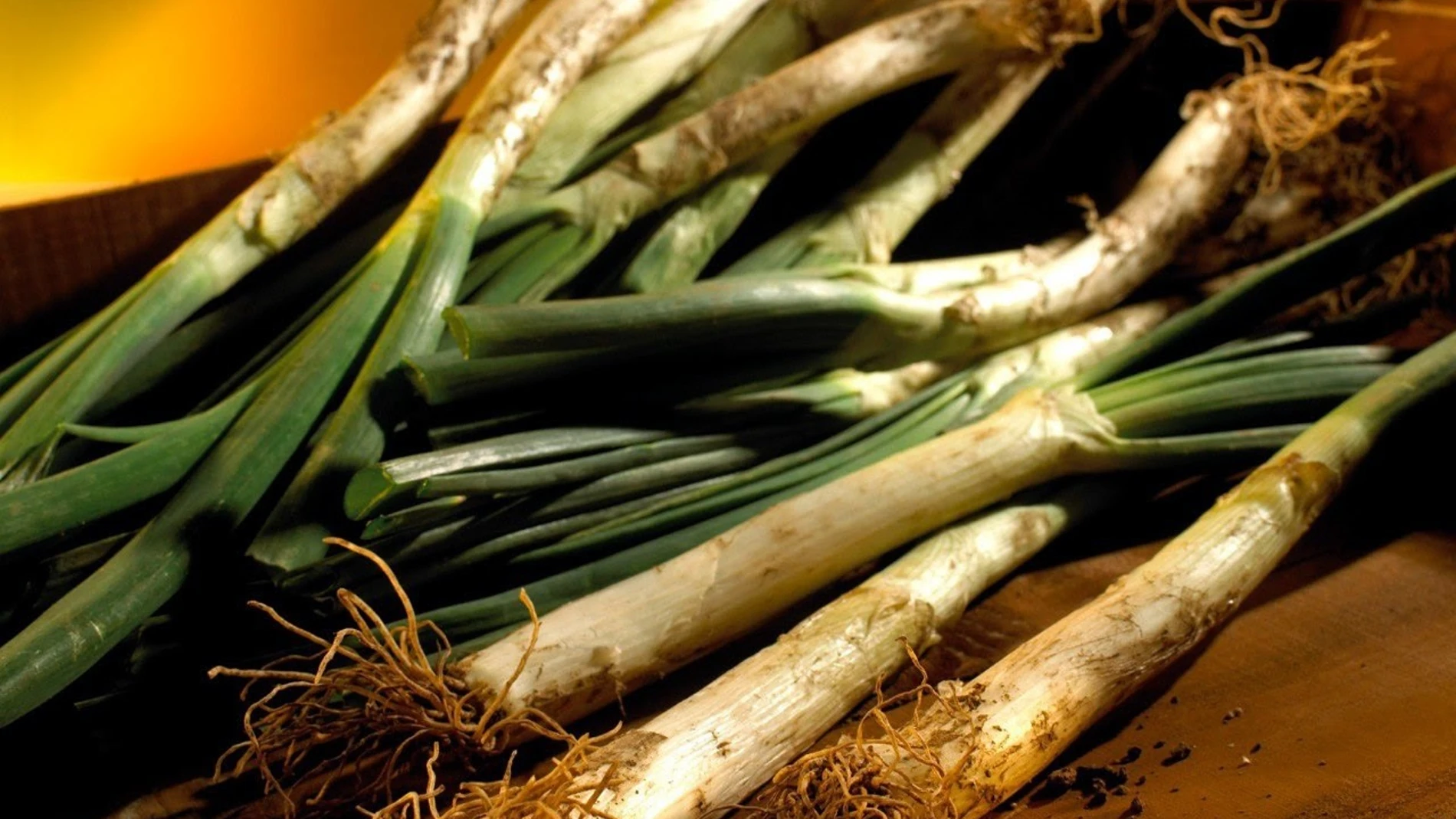 Calçots REMITIDA / HANDOUT por Generalitat de Catalunya Fotografía remitida a medios de comunicación exclusivamente para ilustrar la noticia a la que hace referencia la imagen, y citando la procedencia de la imagen en la firma 16/01/2025