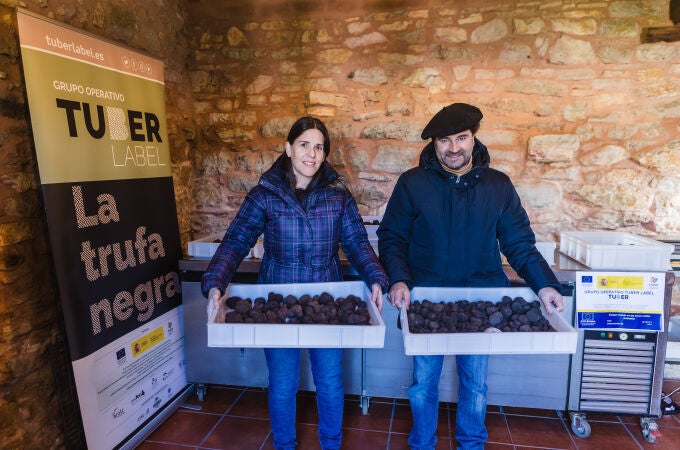 Concha Ortega / ICAL . Lonja trufera de Abejar. En la imagen, José Miguel Altelarrea y Carmen Alonso, técnicos de Cesefor