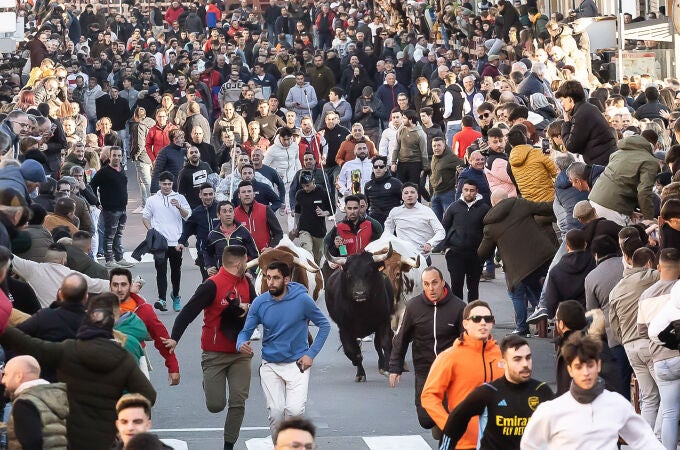 Toro de San Sebastián por las calles de Ciudad Rodrigo