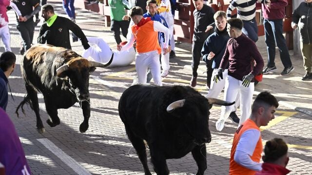 El primero de los Encierros Blancos