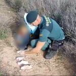 Un agente de la Guardia Civil, con los cachorros