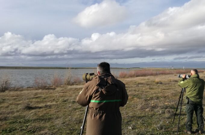 Castilla y León realiza en enero un nuevo censo para conocer el estado de conservación de las aves acuáticas invernantes en la Comunidad