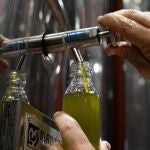 Las exportaciones de aceite de oliva crecieron un 43% de enero a noviembre, según datos de la agencia Trade