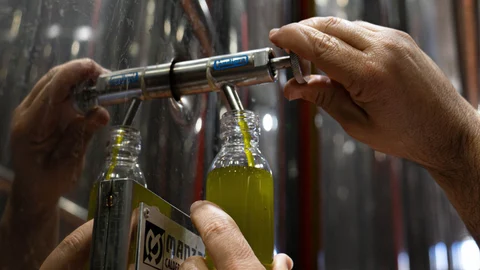 Las exportaciones de aceite de oliva crecieron un 43% de enero a noviembre, según datos de la agencia Trade