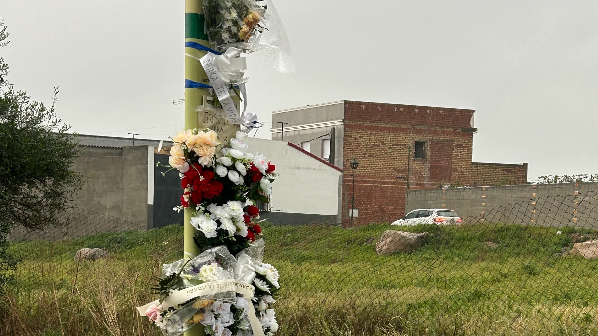 SEV01. GERENA (SEVILLA), 20/01/2025.- Un altar improvisado con decenas de flores, velas y una fotografía recuerda en Gerena (Sevilla) al joven de 17 años que fue asesinado en la localidad el pasado 8 de enero, colocado en la parada de autobús en la que fue mortalmente apuñalado Tras contar el pasado 9 de enero tan solo con un ramo de flores, en los últimos días se han ido ubicando en el mismo lugar varios ramos de distintos tipos, uno de ellos con una cinta en la que se le recuerda, velas col...