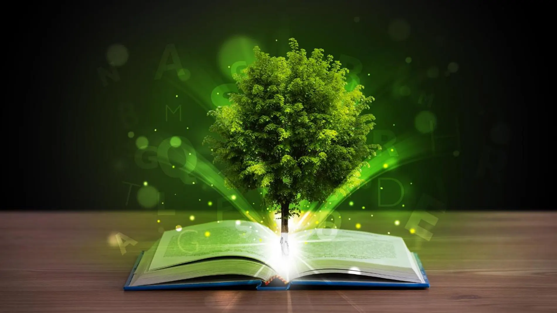 La educación ambiental ayuda a crear conciencia sobre el valor de las energías limpias y a promover su uso