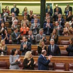 Juan Bravo del PP en el Pleno del Congreso. David Jar