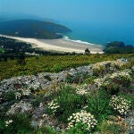 Esta aldea es el último respiro del norte de Galicia