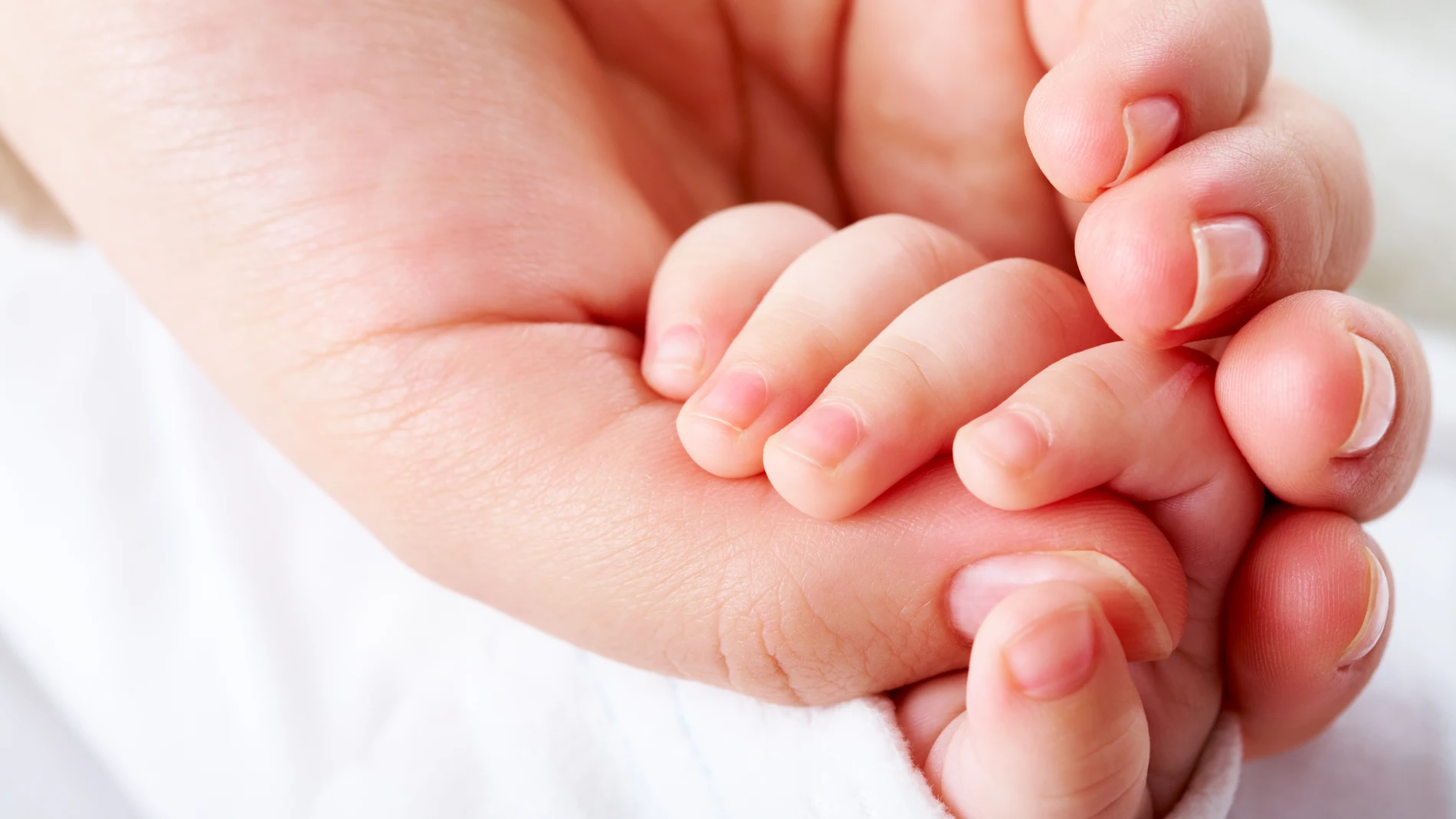 Los investigadores analizaron muestras de suero sanguíneo de 300 bebés