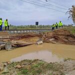 La circulación de trenes en la línea Sevilla-Huelva ha quedado interrumpida por la situación meteorológica