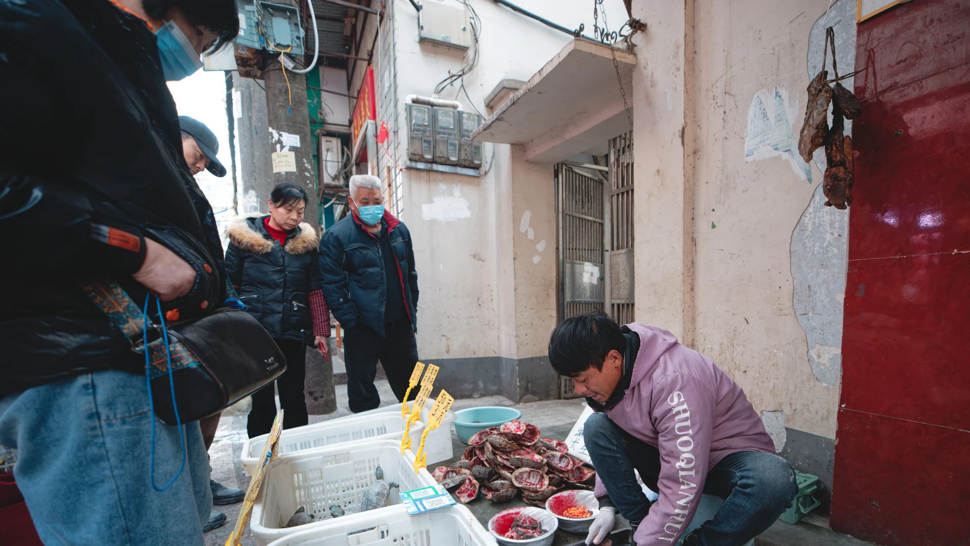 Un hombre vende tortugas en el mercado de Wuhan, que ha sido cerrado esta semana