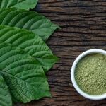 Kratom: La planta relacionada con el café que preocupa a las autoridades por sus efectos