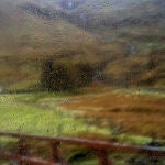 Campo gallego mojado por la lluvia
