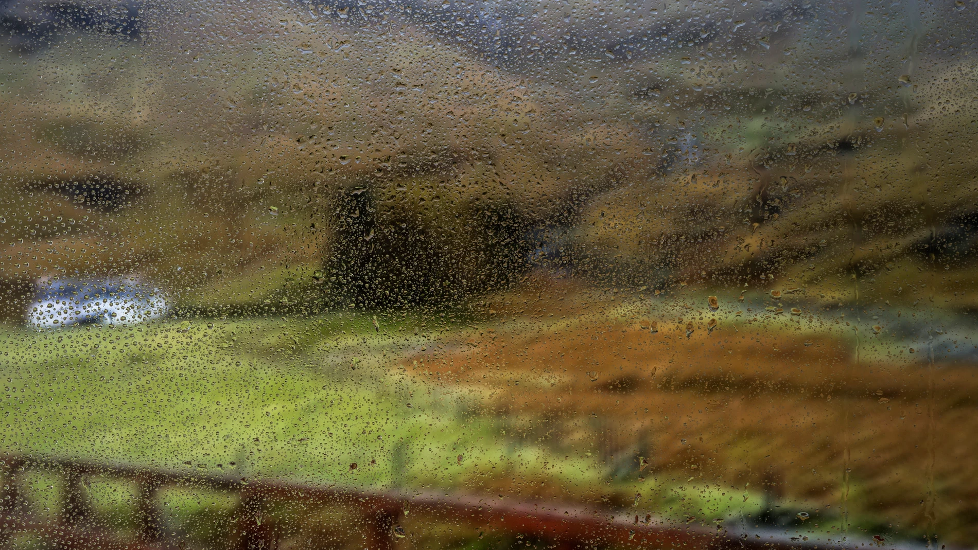 Campo gallego mojado por la lluvia