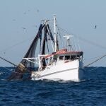 Economía.- España pedirá hoy en Bruselas un tope del 20% a la reducción de días de pesca en el Mediterráneo